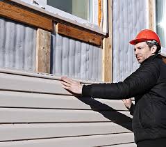 Best Siding Painting and Refinishing  in Iola, WI